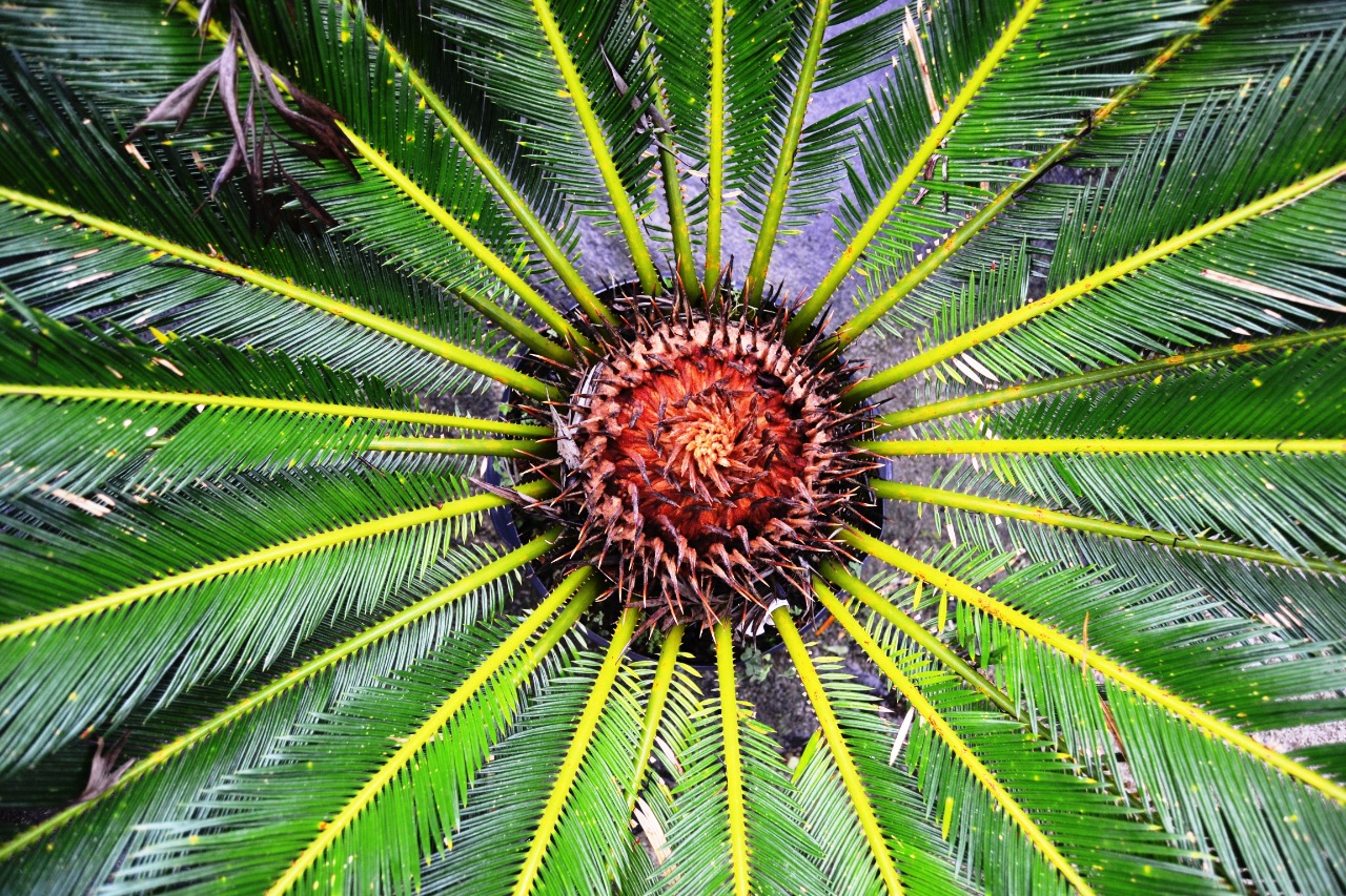 estações 8 @ElviraForttuna.jpg