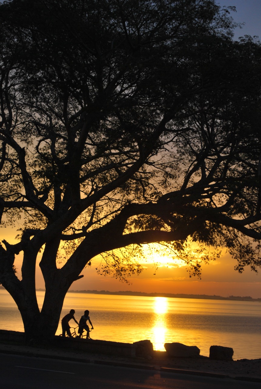 estações 1 @ElviraForttuna.jpg