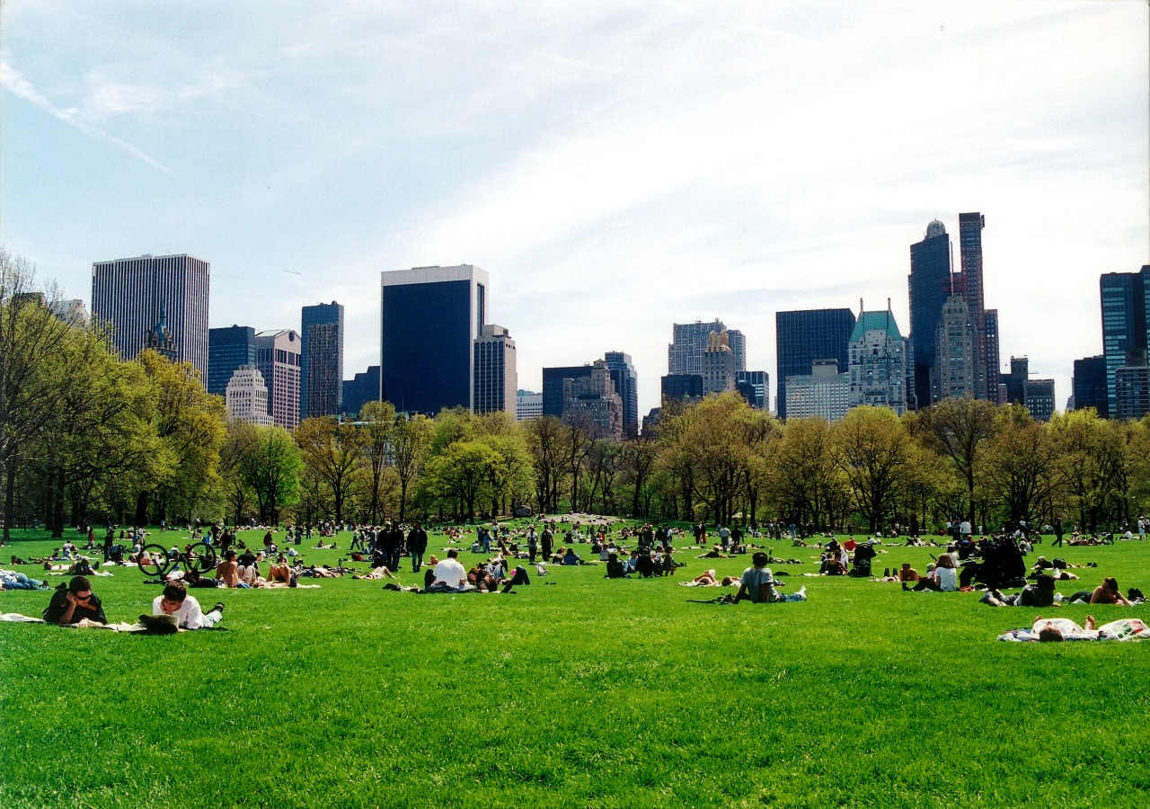 estações 2 NYC@ElviraForttuna.jpg