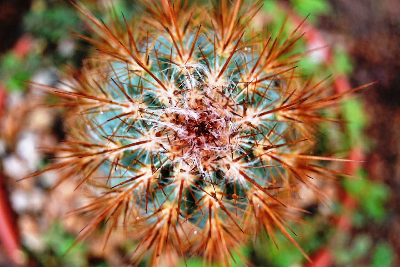 estações 7 @ElviraForttuna.jpg