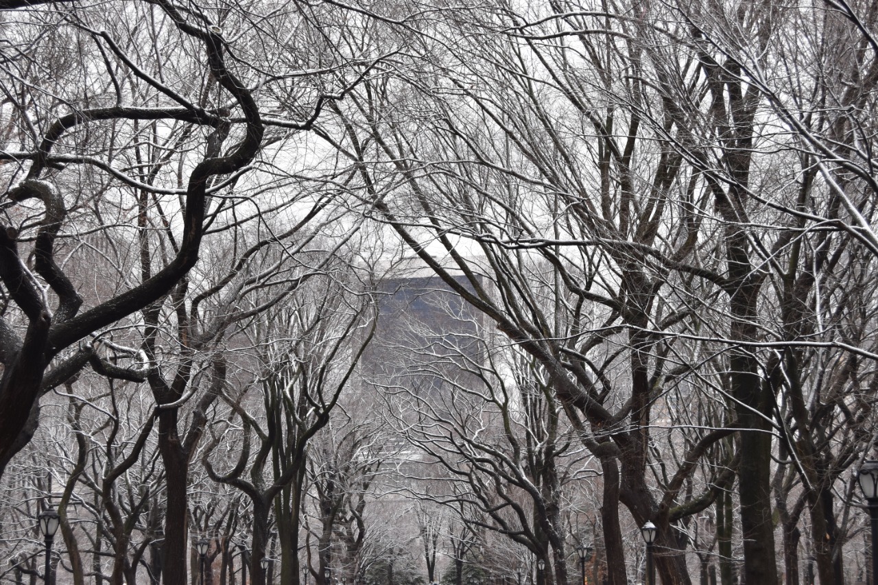 estações 4 NYC@ElviraForttuna.jpg